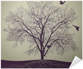 Gallery Direct Crows Print On Birchwood Wall Art, Size (400x400), Png Download