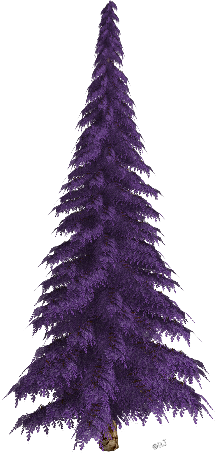 Winter Trees & Christmas Trees - Christmas Tree (753x1600), Png Download