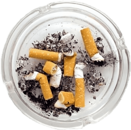 Free Png Filled Ashtray Png Images Transparent - Writers: A History Of American Screenwriters (480x480), Png Download