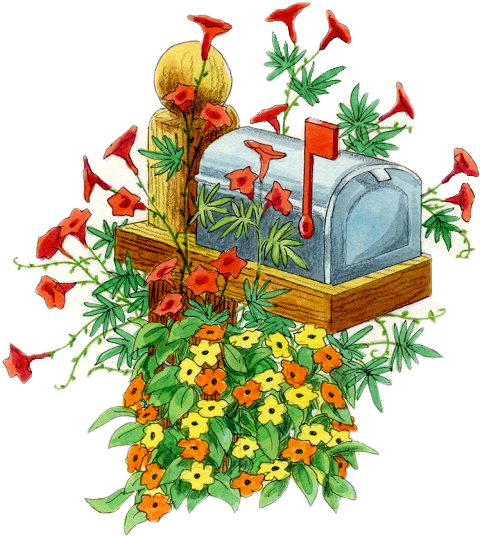 Rose (480x536), Png Download