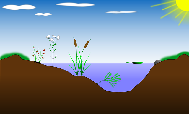 Seeing Science Everywhere - Perfil De Un Lago (640x388), Png Download