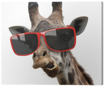 Funny Fashion Portrait Of A Giraffe With Hipster Sunglasses - Crazy Eyes - Gerald The Giraffe Bb3236 (400x400), Png Download