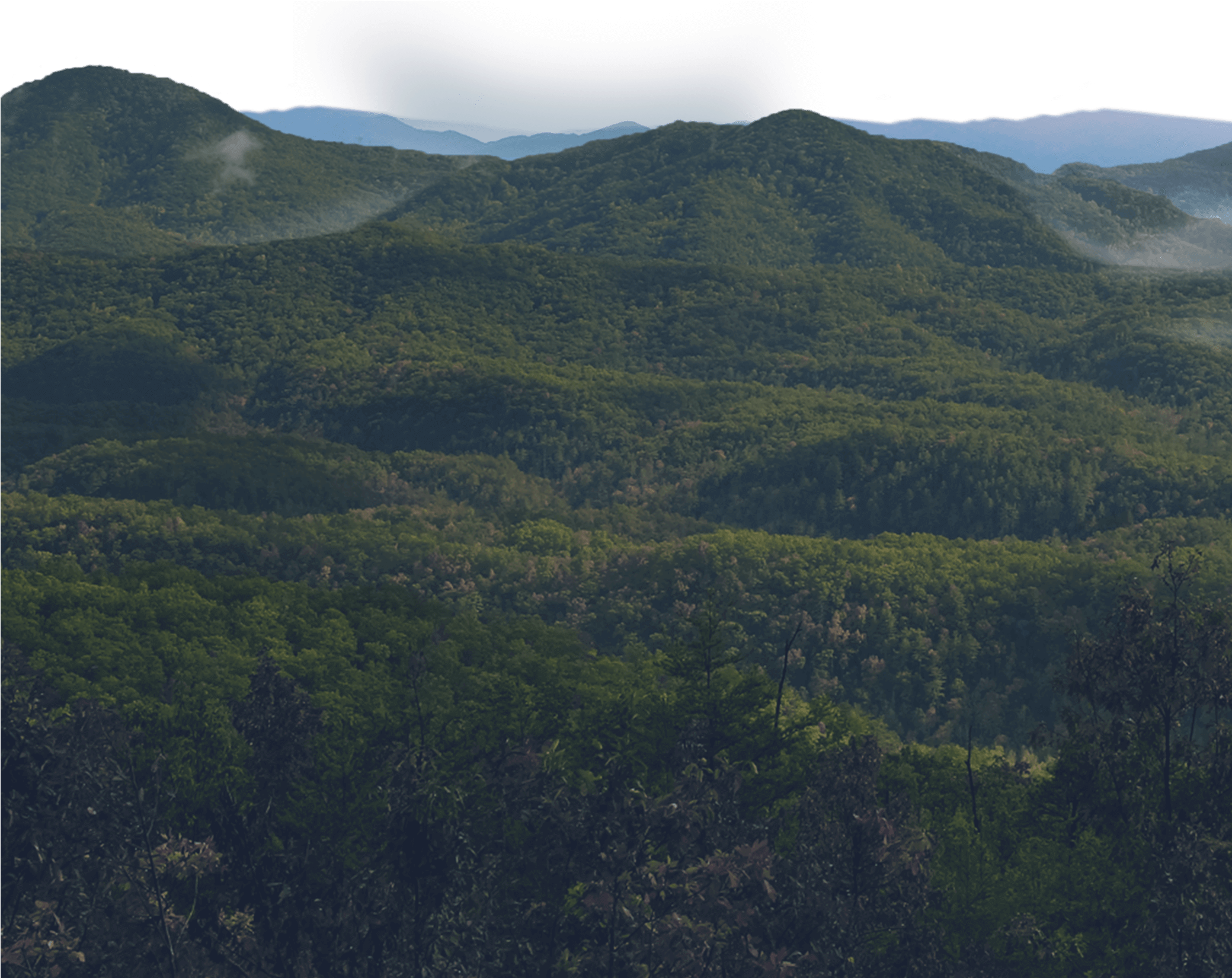 Watch Tower Skyline Skyline (2078x2719), Png Download