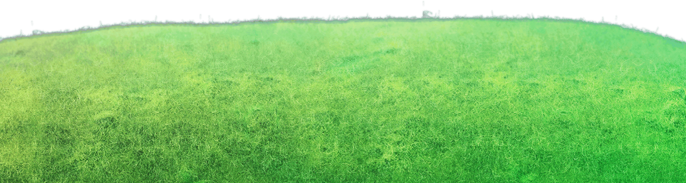 0 - - Lawn (2256x603), Png Download