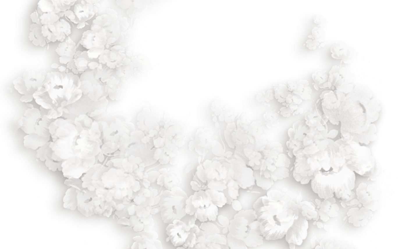 Download White Flowers Decorative Png Clipart Pozadia A Ormovania