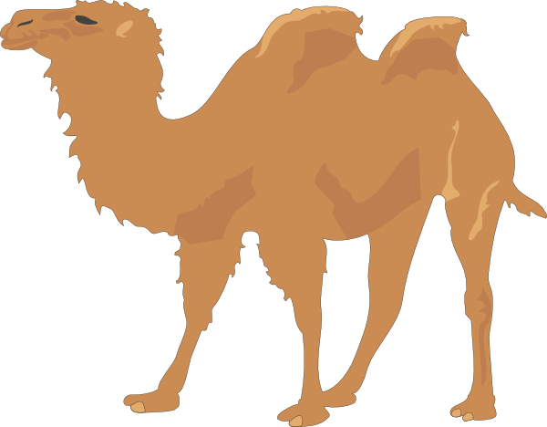 Download Cartoon Camel Clipart - Camel Vector Free PNG Image with No  Background 