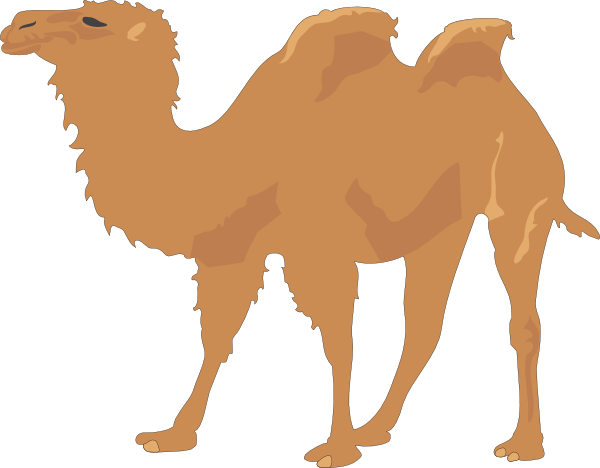 Download Cartoon Camel Clipart - Camel Vector Free PNG Image with No Background Download Cartoon Camel Clipart - Camel Vector Free PNG Image with No Background