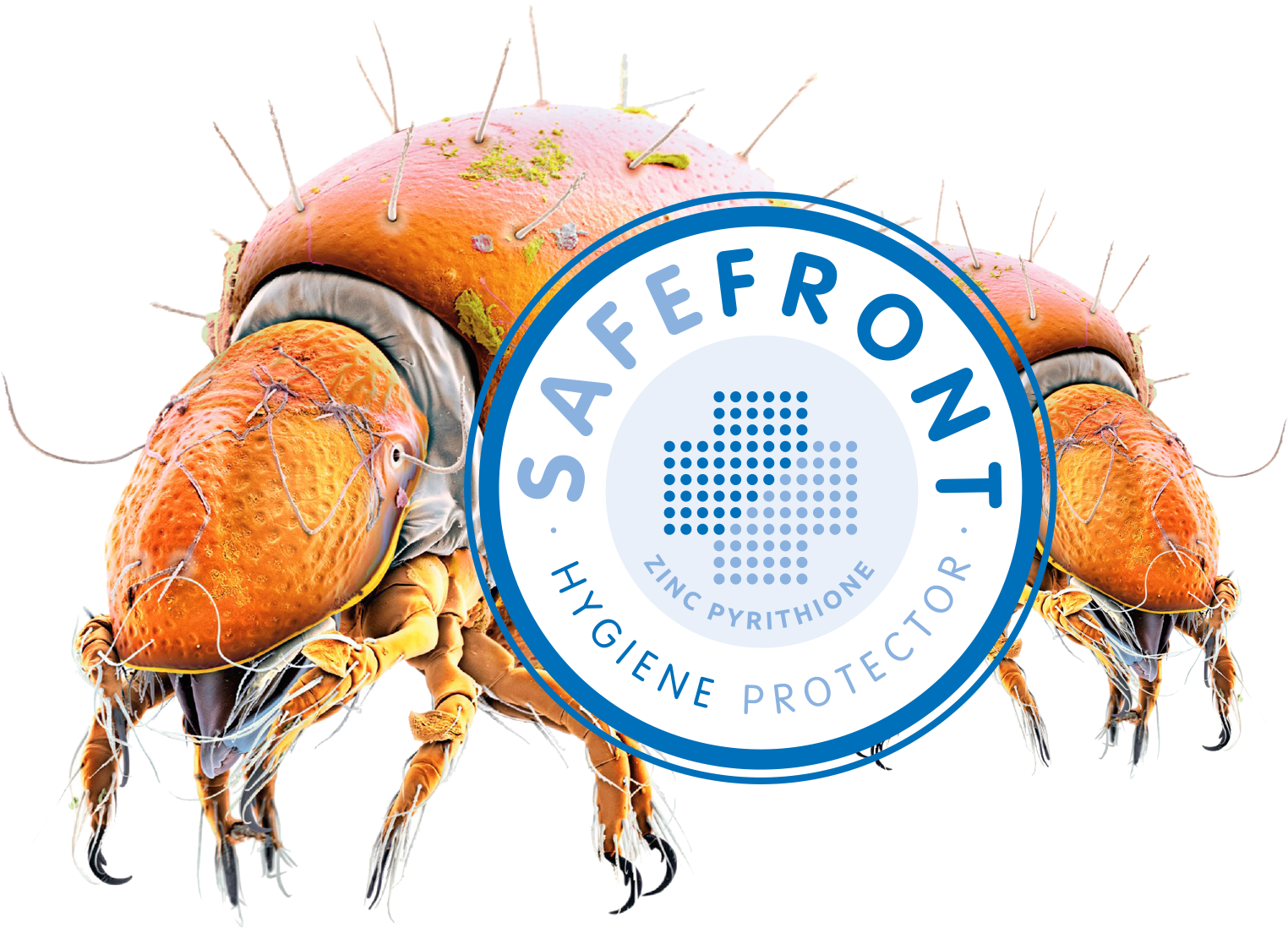 Acaro National Geographic (1524x1098), Png Download