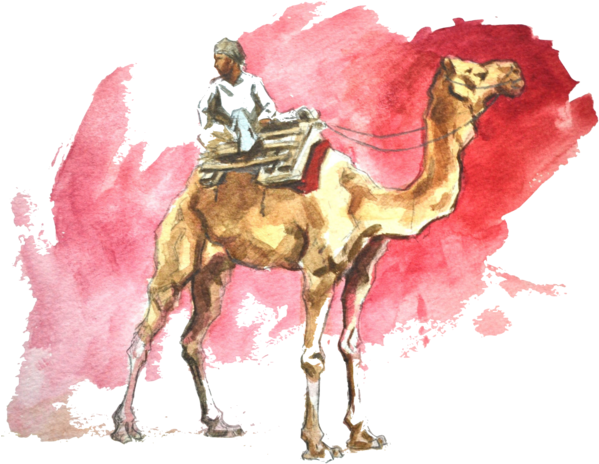 Travel Destinations - Watercolor Camel (600x475), Png Download