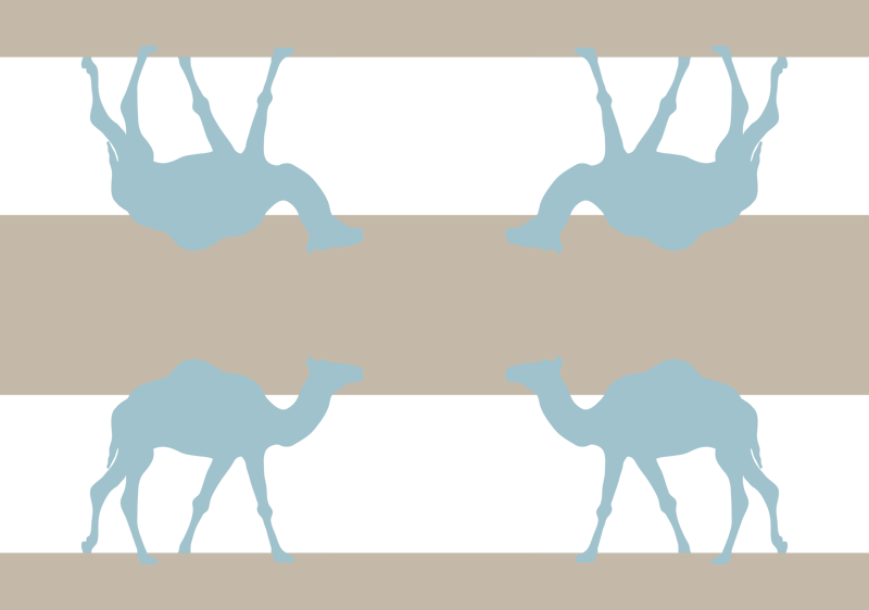 Dromedary (800x562), Png Download