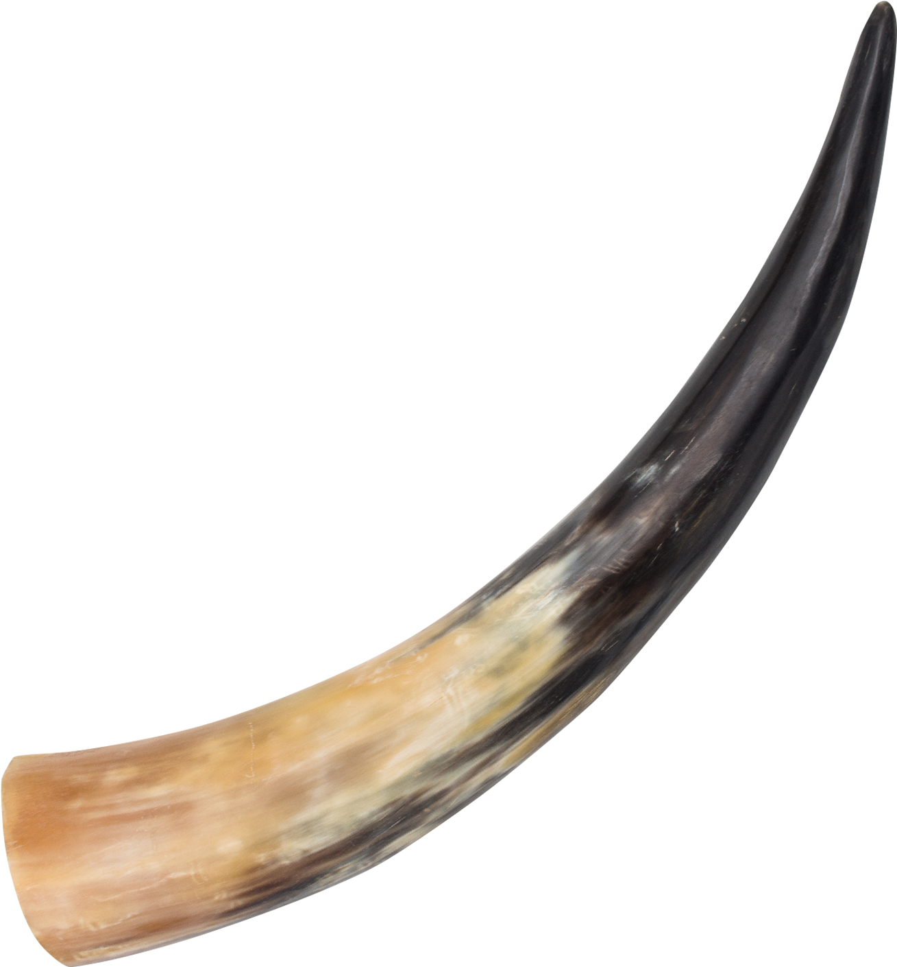 Medieval Animal Drinking Horn , , Panther Trading Company- - Animal Horn Png (1500x1500), Png Download