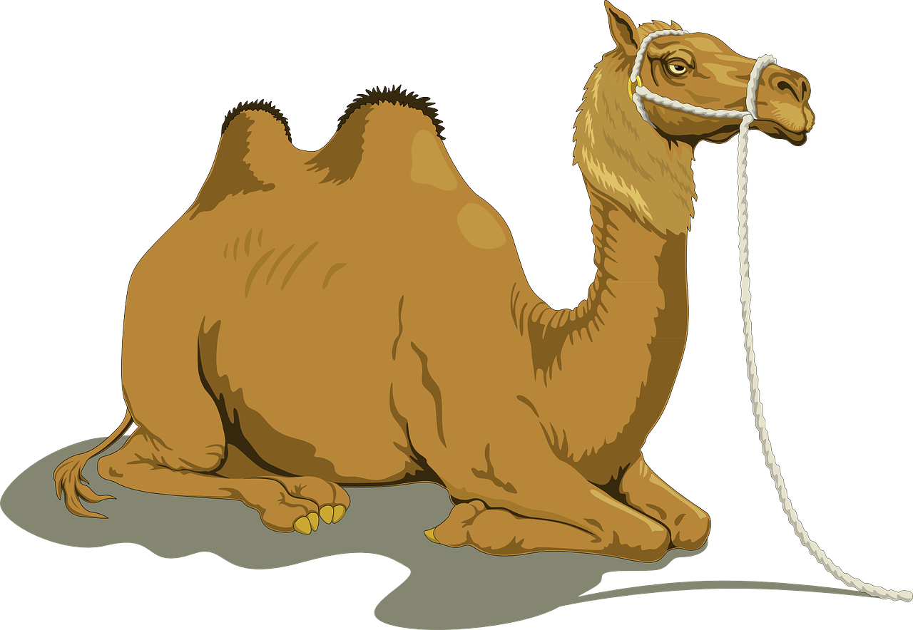 Download Png Image Report - Camel Clipart (1280x884), Png Download