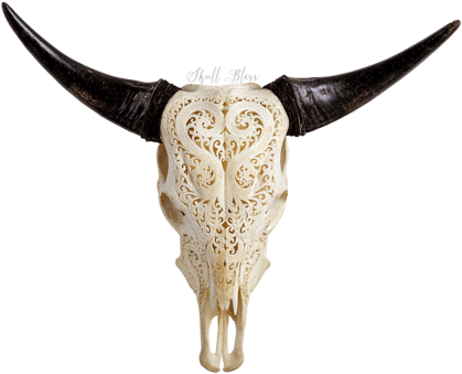 Cow Skulls Xl Horns - Horned Antelope Skull Transparent (430x430), Png Download