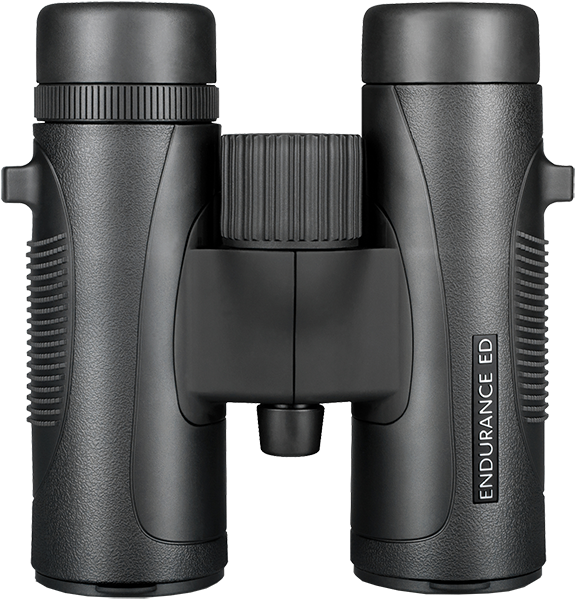 Hawke Endurance Ed X32 Binocular - Hawke Binoculars (600x619), Png Download