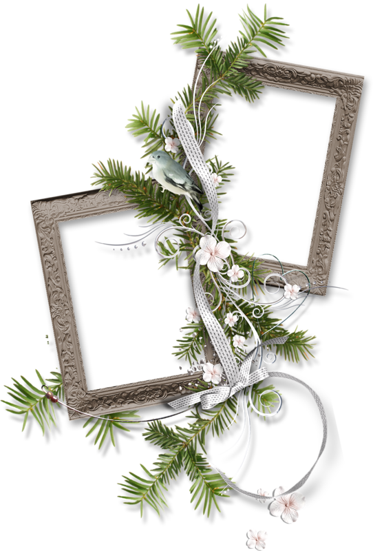 Scrap, Digital, Png Photo, Christmas, Borders And Frames, - Picture Frame (542x800), Png Download