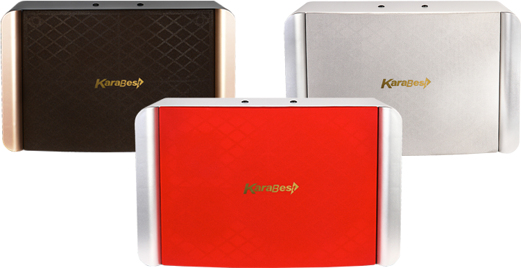 Karabest Kb-899 800w Speaker Malaysia Karaoke System - Leather (800x800), Png Download