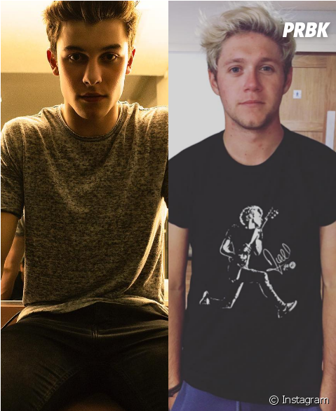 Shawn Mendes Revela Futura Parceria Com Niall Horan, - Shawn Mendes In School (624x600), Png Download