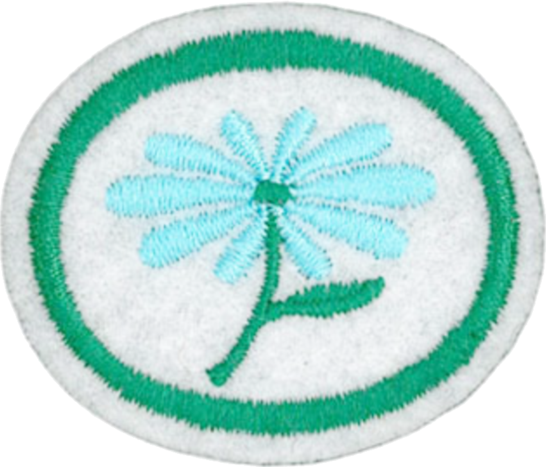 Flowers Honor - Flowers Pathfinder Honour (787x673), Png Download