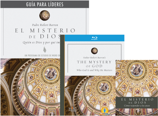 The Mystery Of God Leader's Kit By Bishop Robert Barron - The Mystery Of God Leader Guide (650x650), Png Download