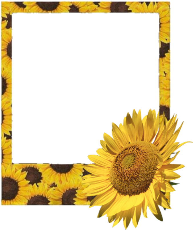 #polaroid #frame #flower #sunflower #sunflowers - Aesthetic Polaroid Film Frame Png (1024x1024), Png Download