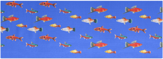 Fish Yoga Mat Mockup - Cartoon (600x600), Png Download