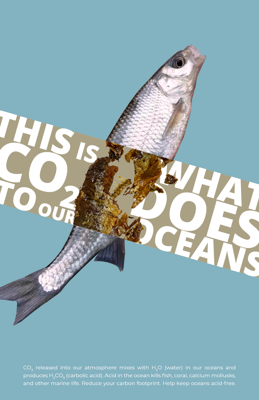 Long Nose Gar (1056x1632), Png Download