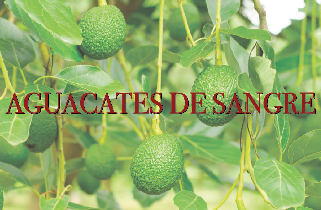 “el Aguacate Es El Diamante De Sangre De México” - Avocado (1024x669), Png Download