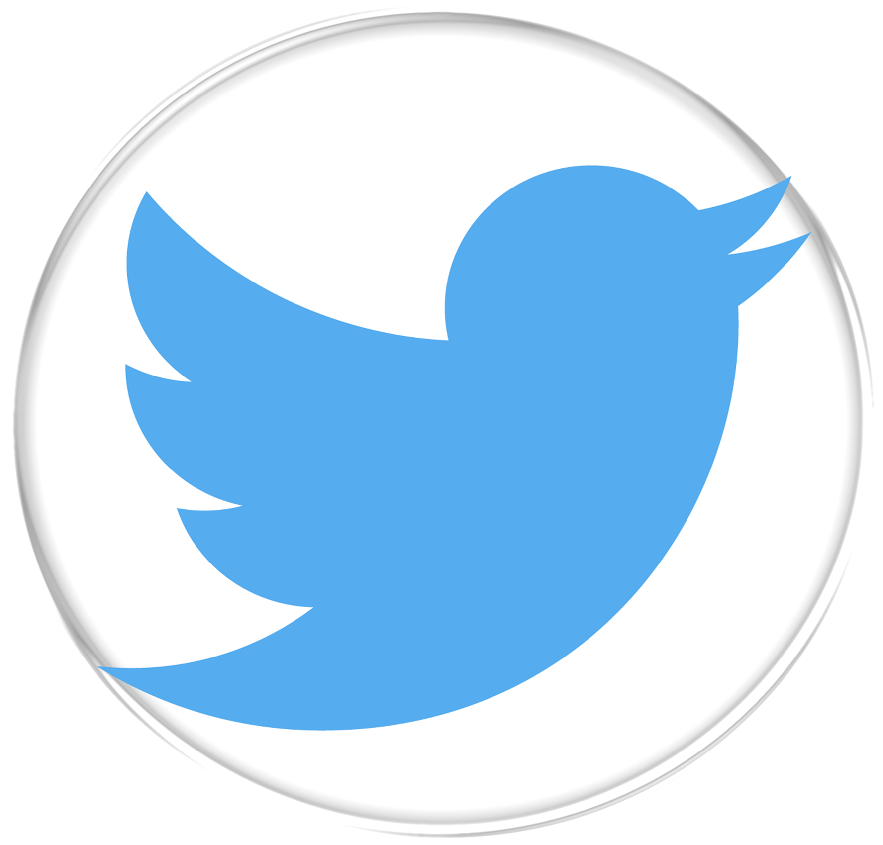 021 830 - Grey Twitter Logo Png (2048x2048), Png Download