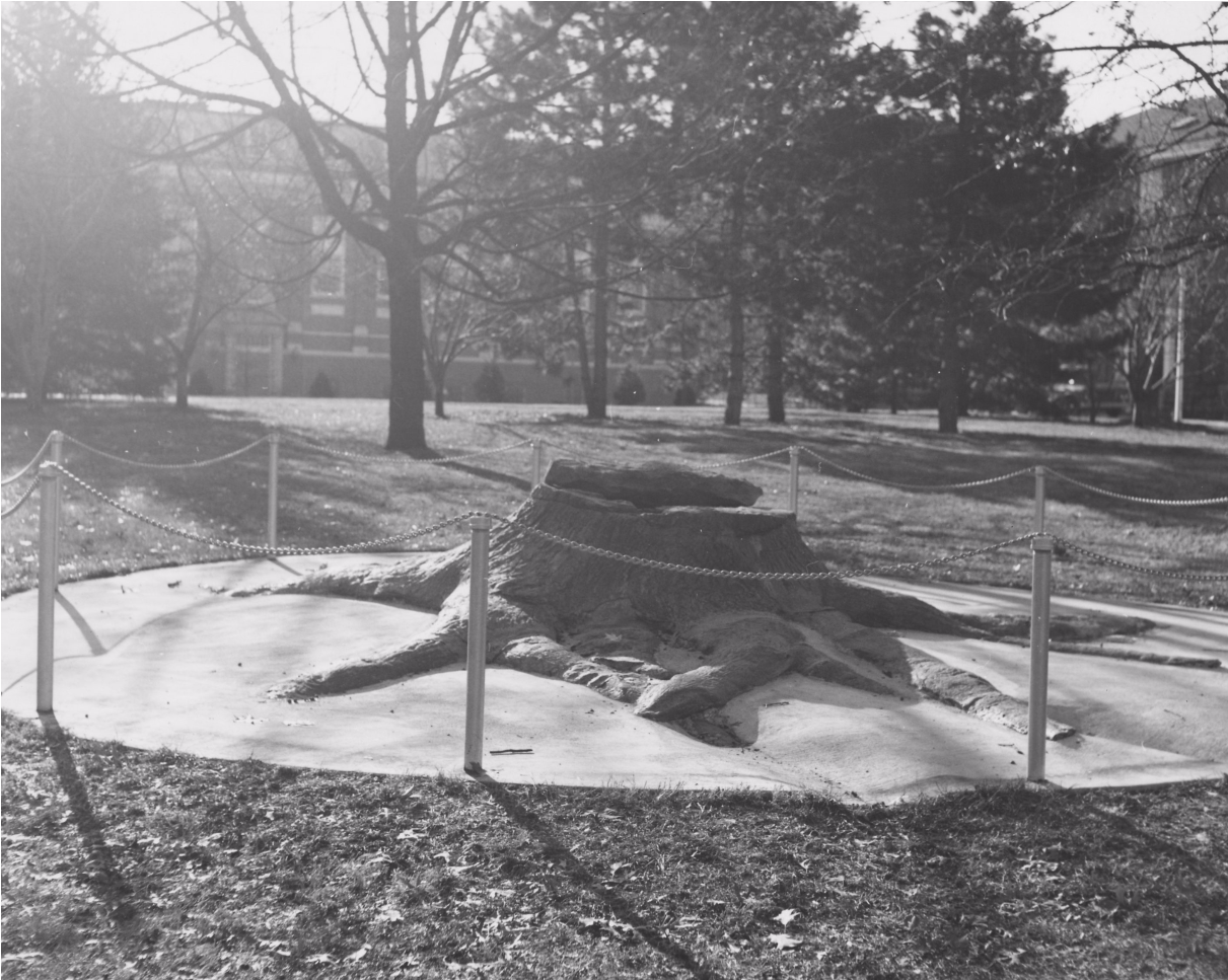 Historical Stump - Monochrome (1210x1200), Png Download