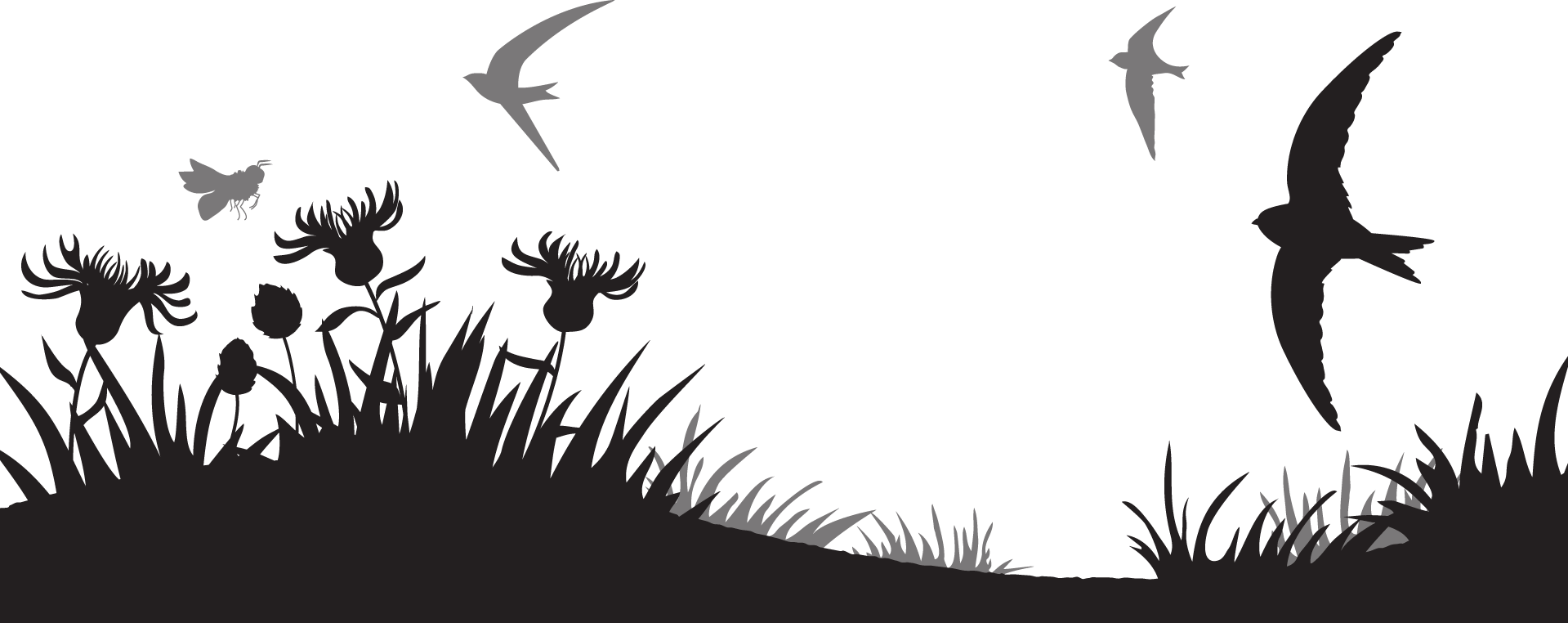 Nature Scene In Silhouette Wildlife Trusts - Seabird (1919x762), Png Download