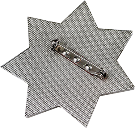 Metal Badge Star Shaped King Country Sheriff Metal - Label (800x600), Png Download
