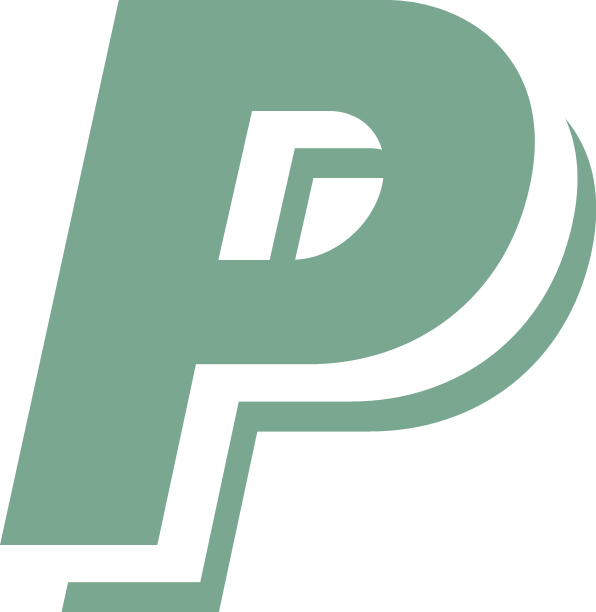 Paypal - Orange Paypal Logo (596x612), Png Download
