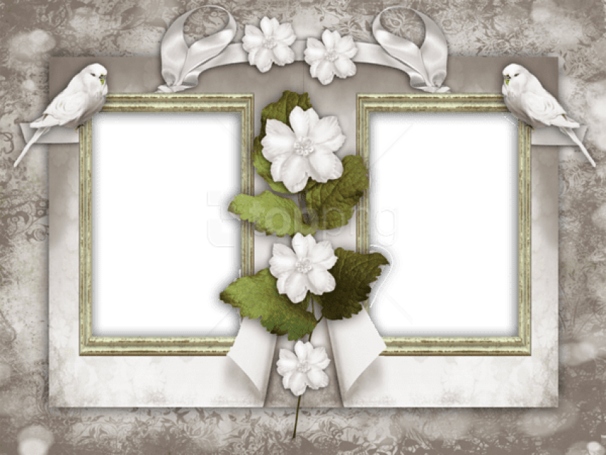 Free Png Best Stock Photos Nice Retroframe Background - Princess Maryam Al Maktoum Engaged (850x638), Png Download