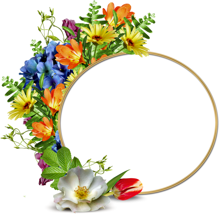 Descargar Marcos De Fotos Gratis Con Flores Coloridas, - Marcos Redondos De Flores Png (1024x753), Png Download