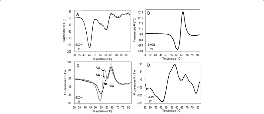 Reference Fluorescent Signatures From Normal Egfr Exon - Diagram (850x369), Png Download