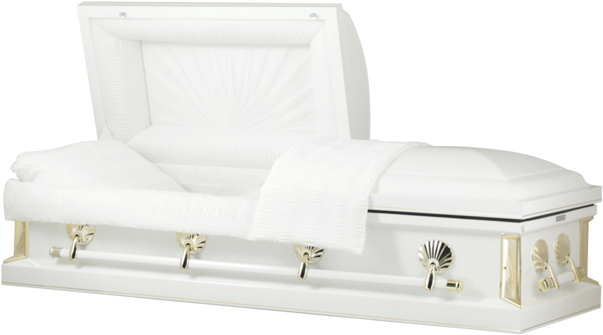 113236 - Trunk (1000x585), Png Download