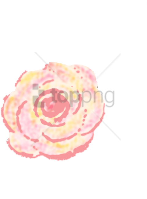 Free Png Download Persian Buttercup Png Images Background - Hybrid Tea Rose (480x649), Png Download