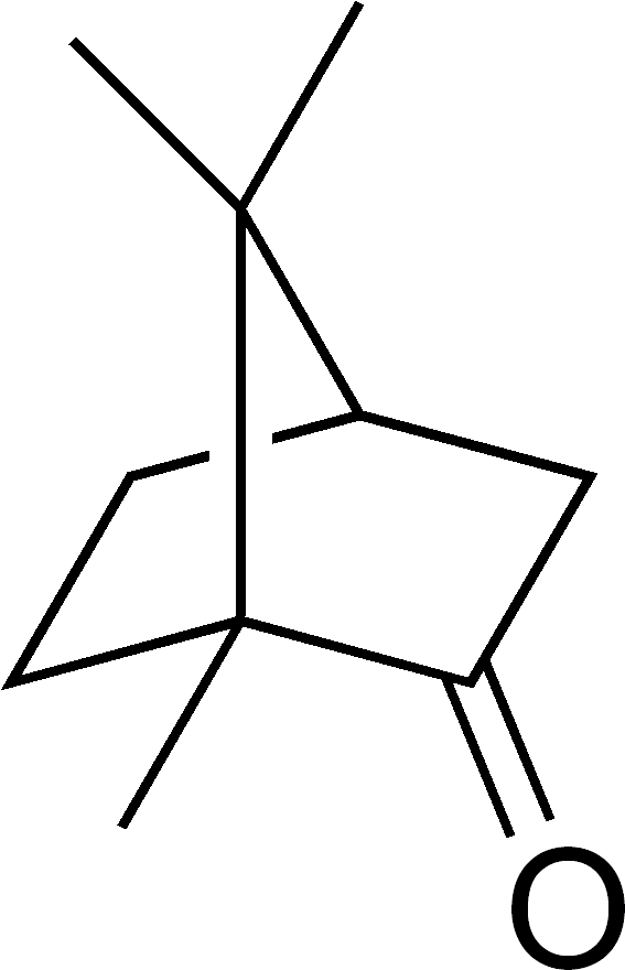 Camphor Structure - 7 Oxabicyclo 2.2 1 Heptane (581x894), Png Download