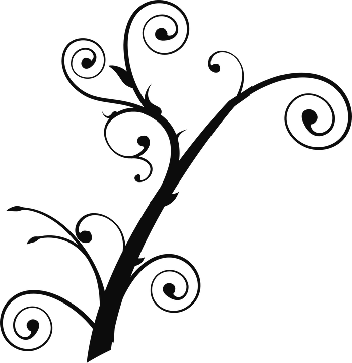 Decoration Clipart Curly - Tree Branch Clip Art (699x720), Png Download