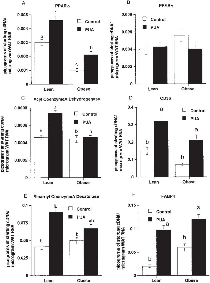 Effect Of Punicic Acid On Expression Of Peroxisome - Lactate Assay Potassium Iodide (850x1147), Png Download