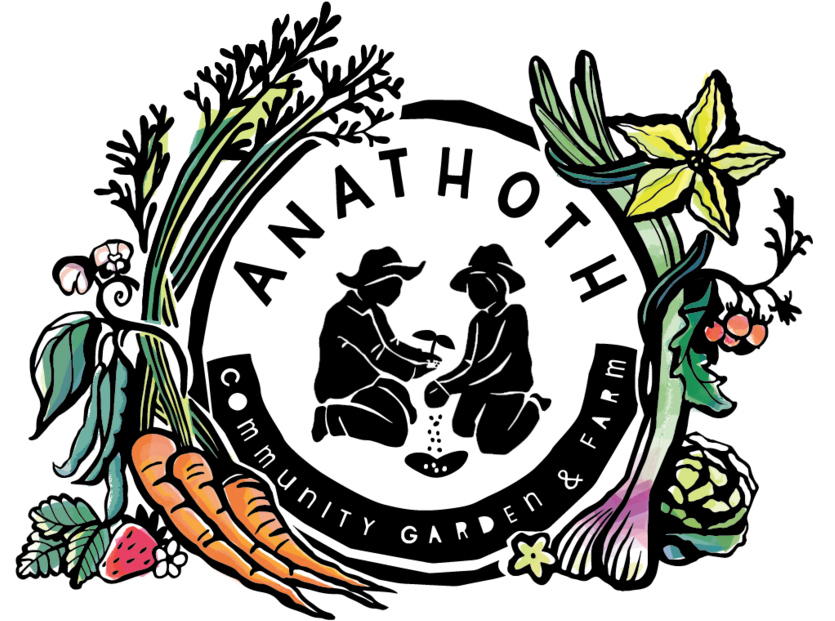 Full Color With Flourishes (1000x647), Png Download
