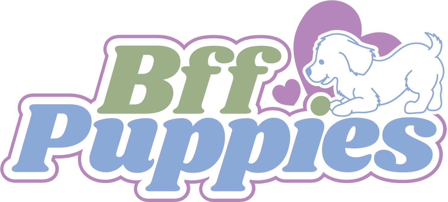 Clip Art (1585x770), Png Download