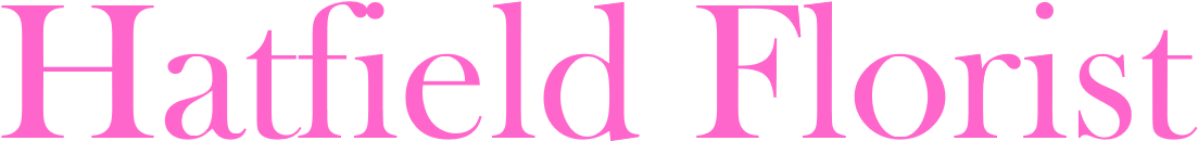 Writing (1500x495), Png Download