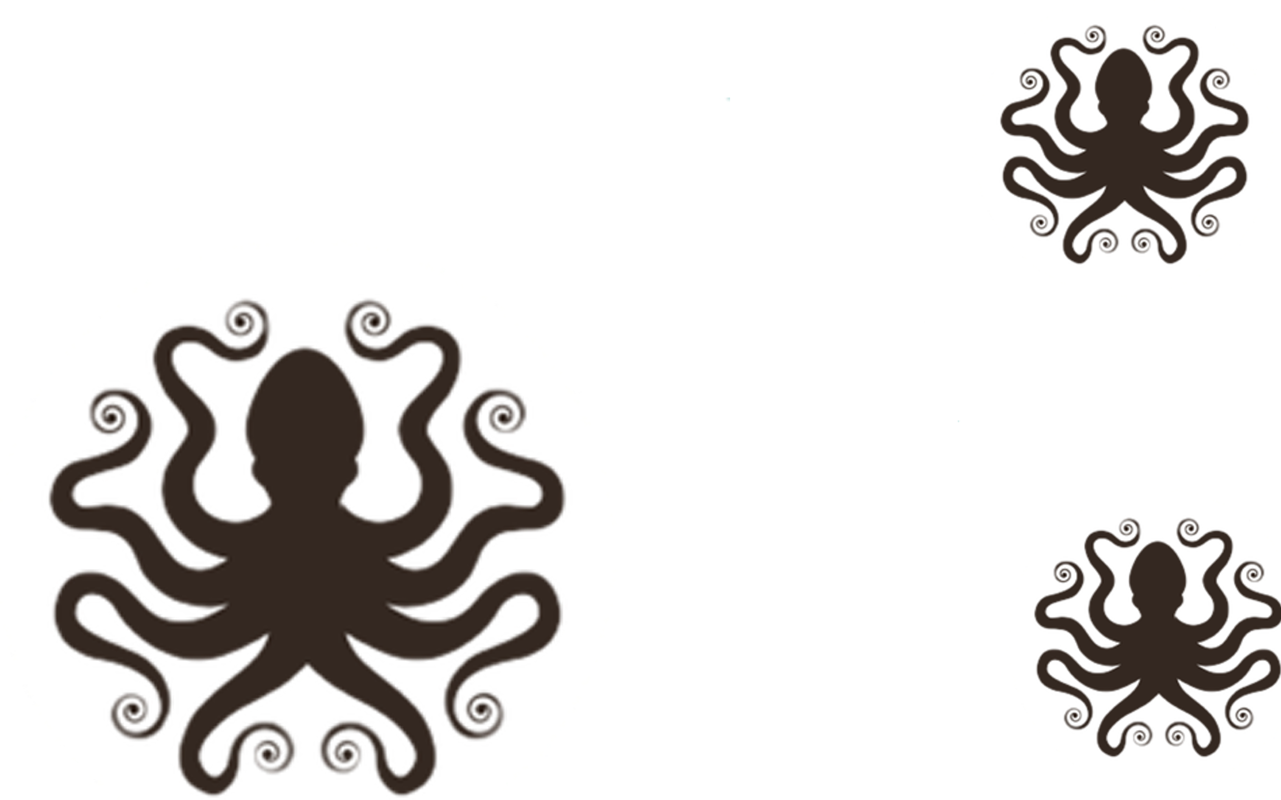 Background Octopus - Illustration (2560x1600), Png Download