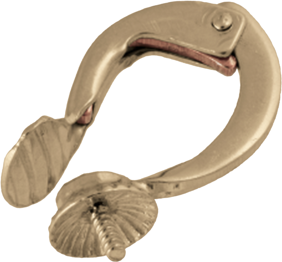 Ear Clip With Cup 585/- Yellow Gold - Electric Eel (1000x1000), Png Download
