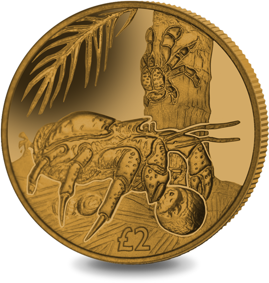 2018 British Indian Ocean Territory Coconut Crab Golden - Coin (577x600), Png Download