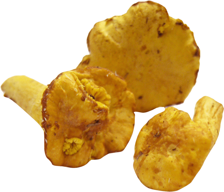 This Png File Is About Food , Mushroom - Recetas De Cocina Escritas (800x695), Png Download