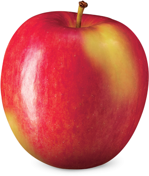 720 X 720 1 - Mcintosh (720x720), Png Download