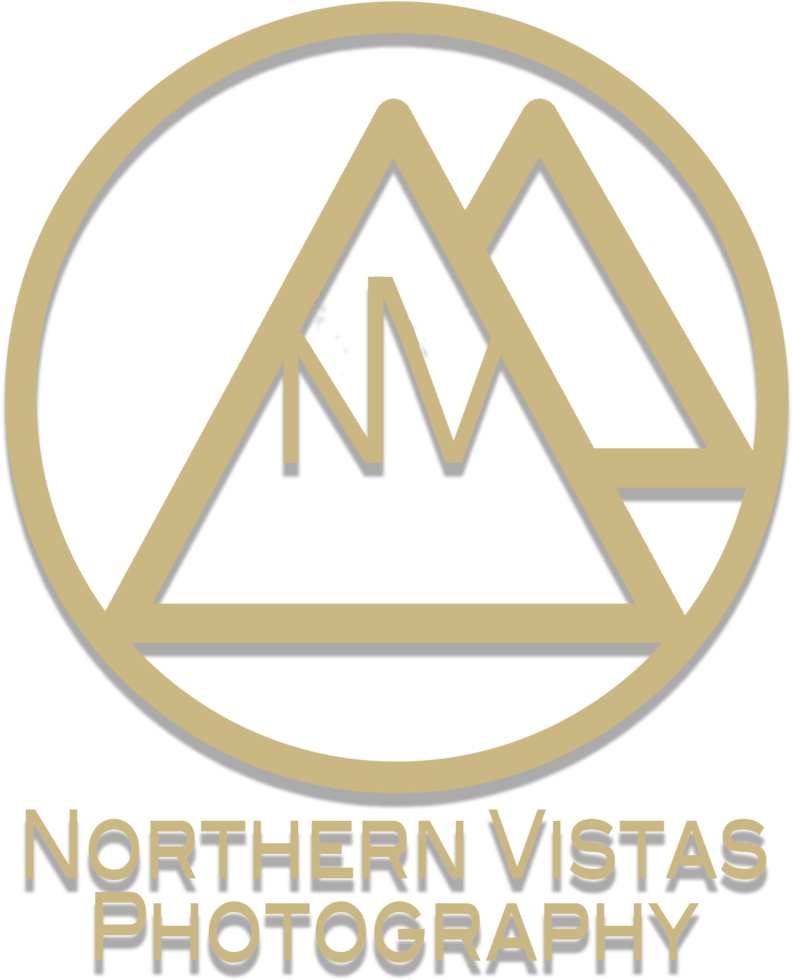 Nvp Mountain Lense Vector (1000x1000), Png Download