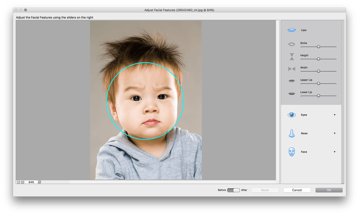Adobe Photoshop Elements 15 Premiere Released Screen - Photoshop Elements 15 (720x432), Png Download